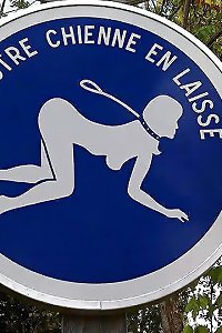 chiennes salopes degrader humilier